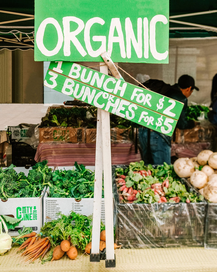 Comida Orgánica para Gatos: Qué Significa de Verdad (Bio, Eco y Natural)