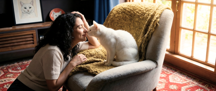 ¿Por Qué Mi Gato Vomita? Causas, Soluciones y Cuándo Preocuparte