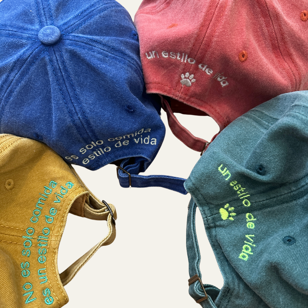 Cuatro gorras Chef Miau vistas por detrás