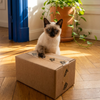 Caja de Prueba - Comida Natural para Gatos | Chef Miau