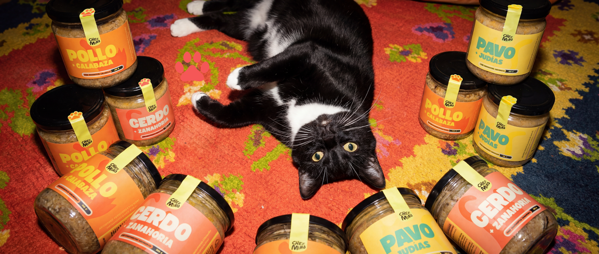 Gato con tarros de las recetas Chef Miau