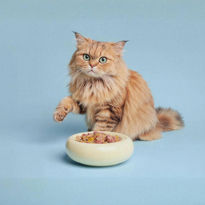 Pack Chef Miau alimentación natural felina mediterránea