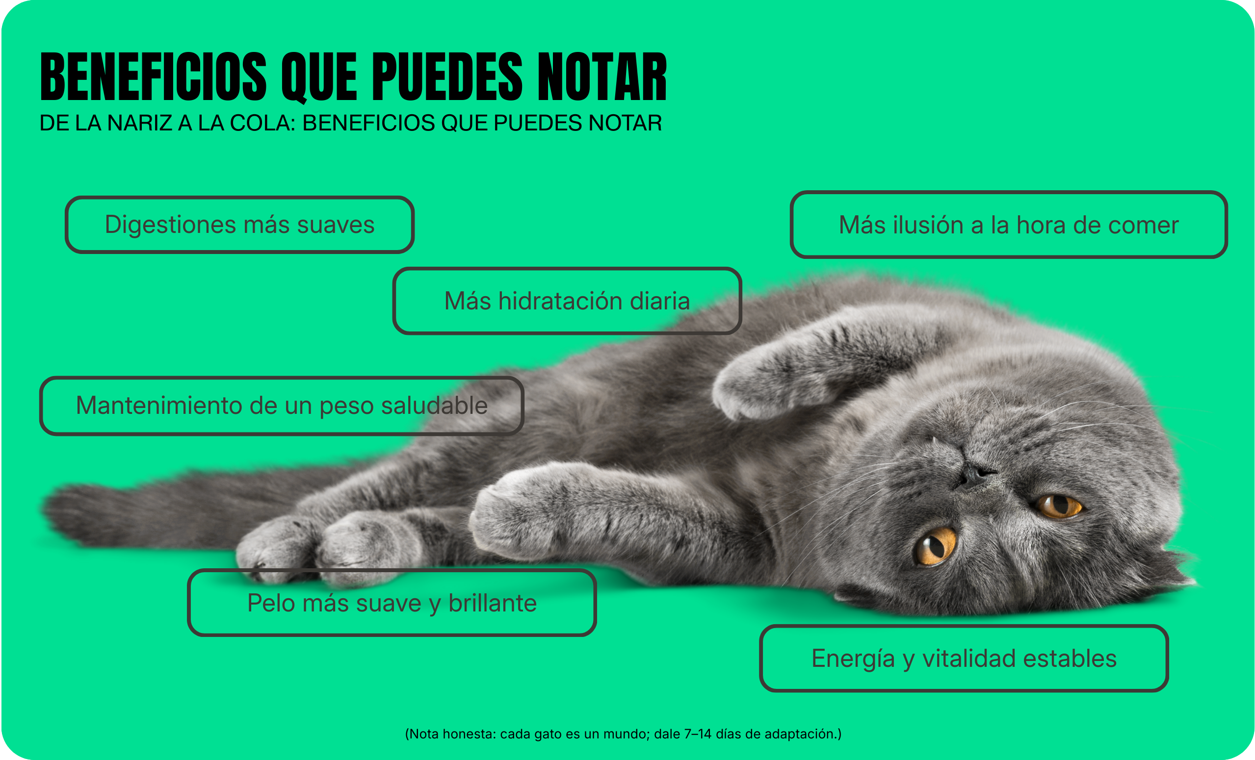 Beneficios que puedes notar