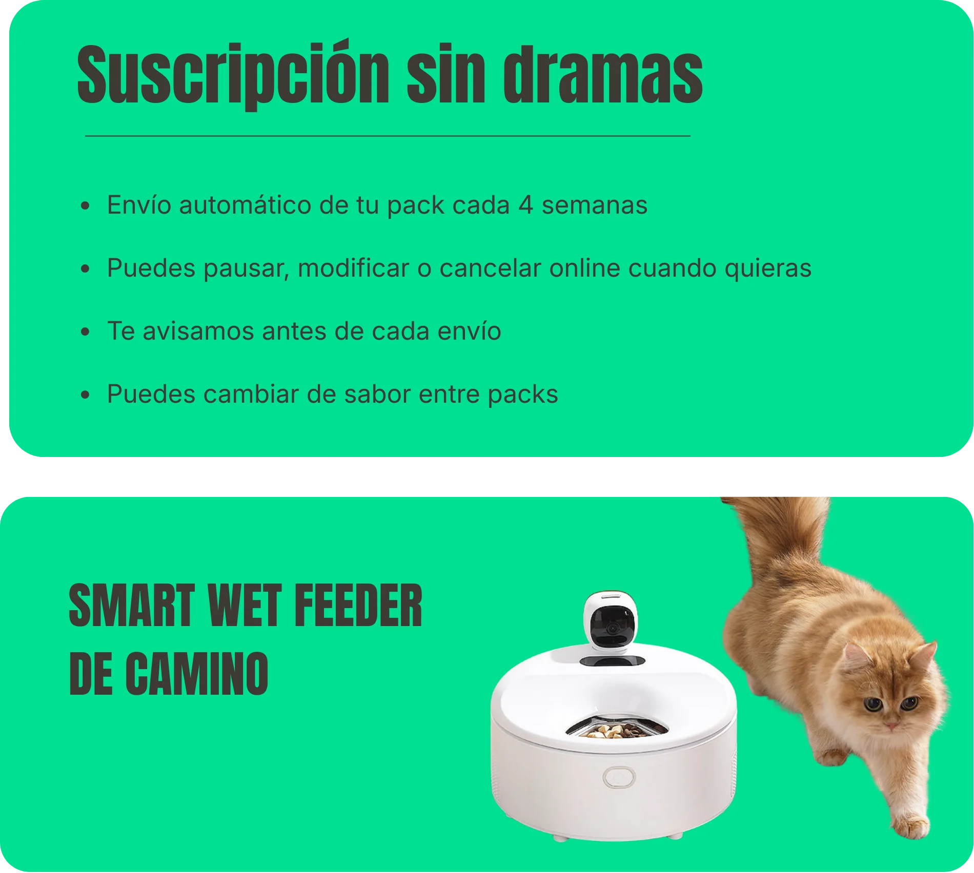 Suscripción sin dramas y Smart Wet Feeder