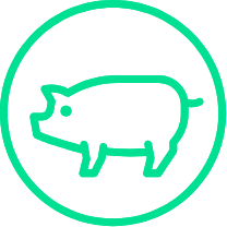 Carne magra de cerdo