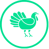 Muslo de pavo deshuesado