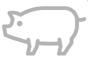 Cerdo