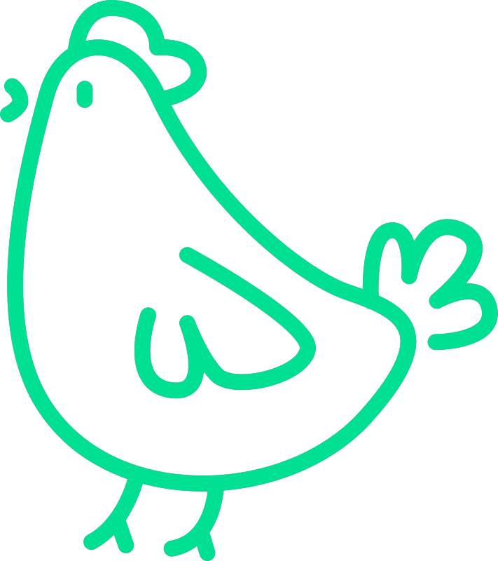Pollo