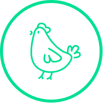 Pechuga de pollo