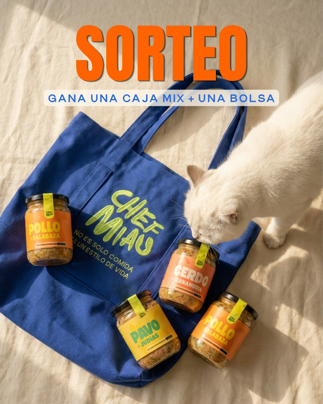 Sorteo de una caja Chef Miau y una bolsa azul